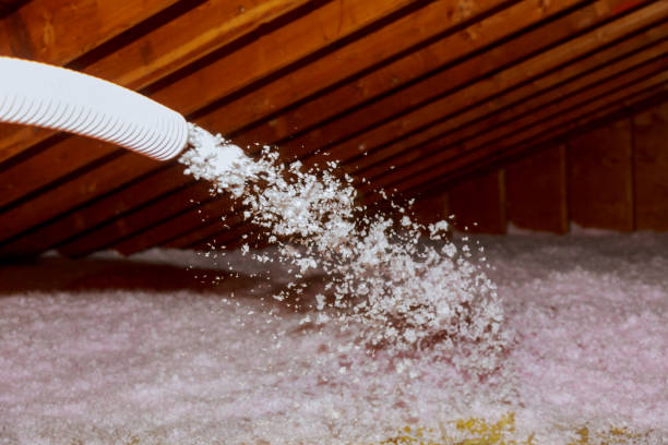 Best Geographic-Specific Insulation Services in Briar Chapel, NC