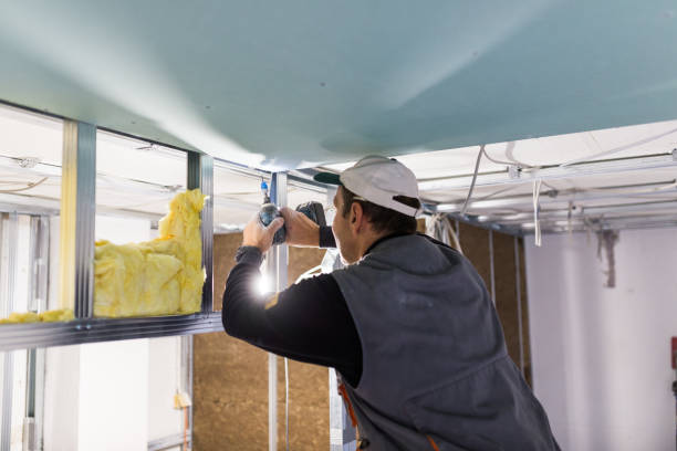 Best Specialized Insulation Services in Briar Chapel, NC