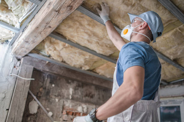 Best Commercial Insulation in Briar Chapel, NC