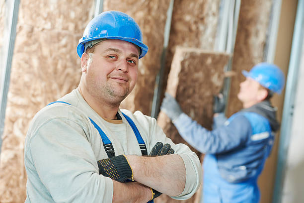 Best Geographic-Specific Insulation Services in Briar Chapel, NC