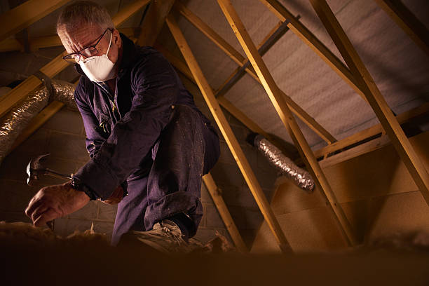 Best Fiberglass Insulation in Briar Chapel, NC